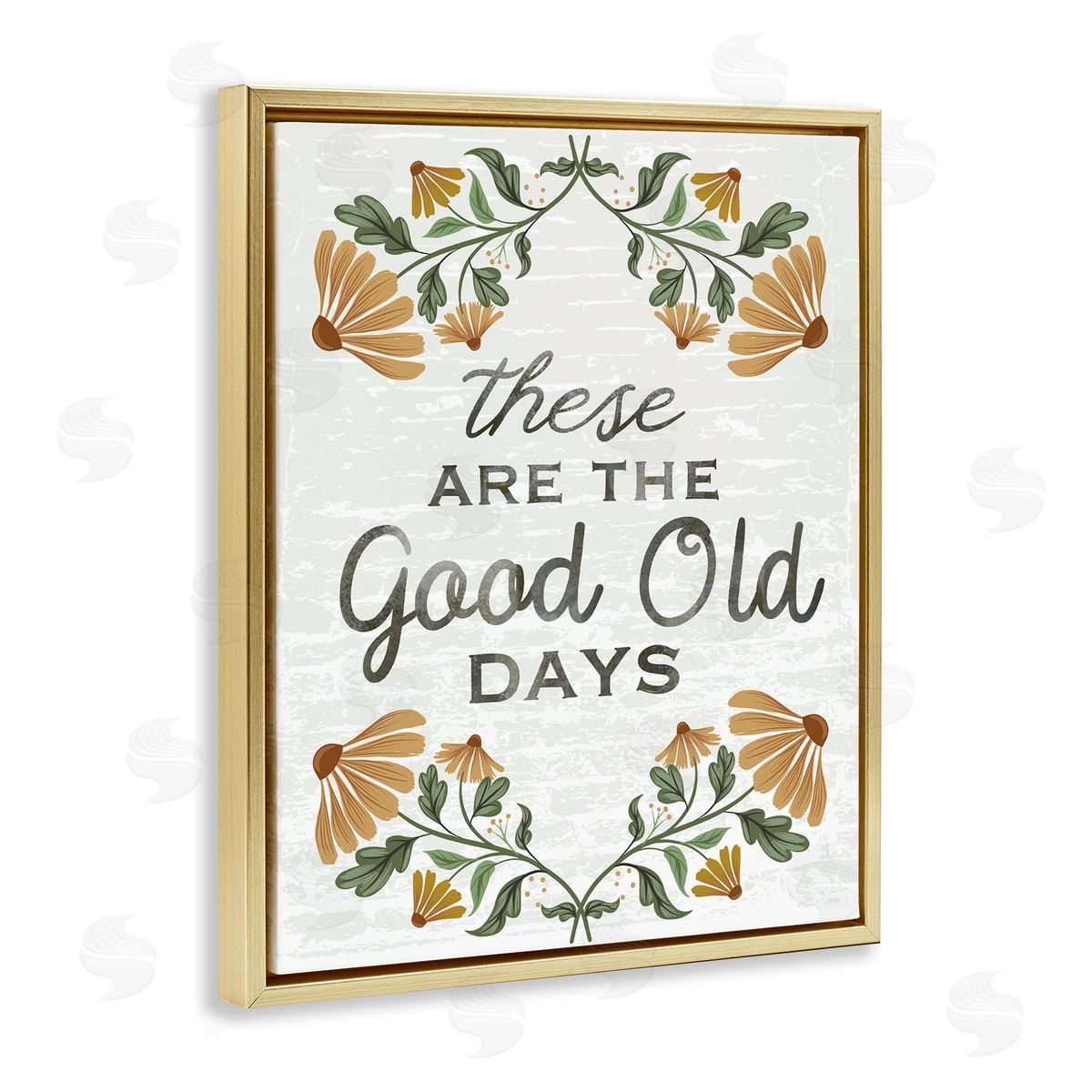Arrolynn Weiderhold Good Days Floral Pattern Gold Floating Frame Canvas Wall Art Print