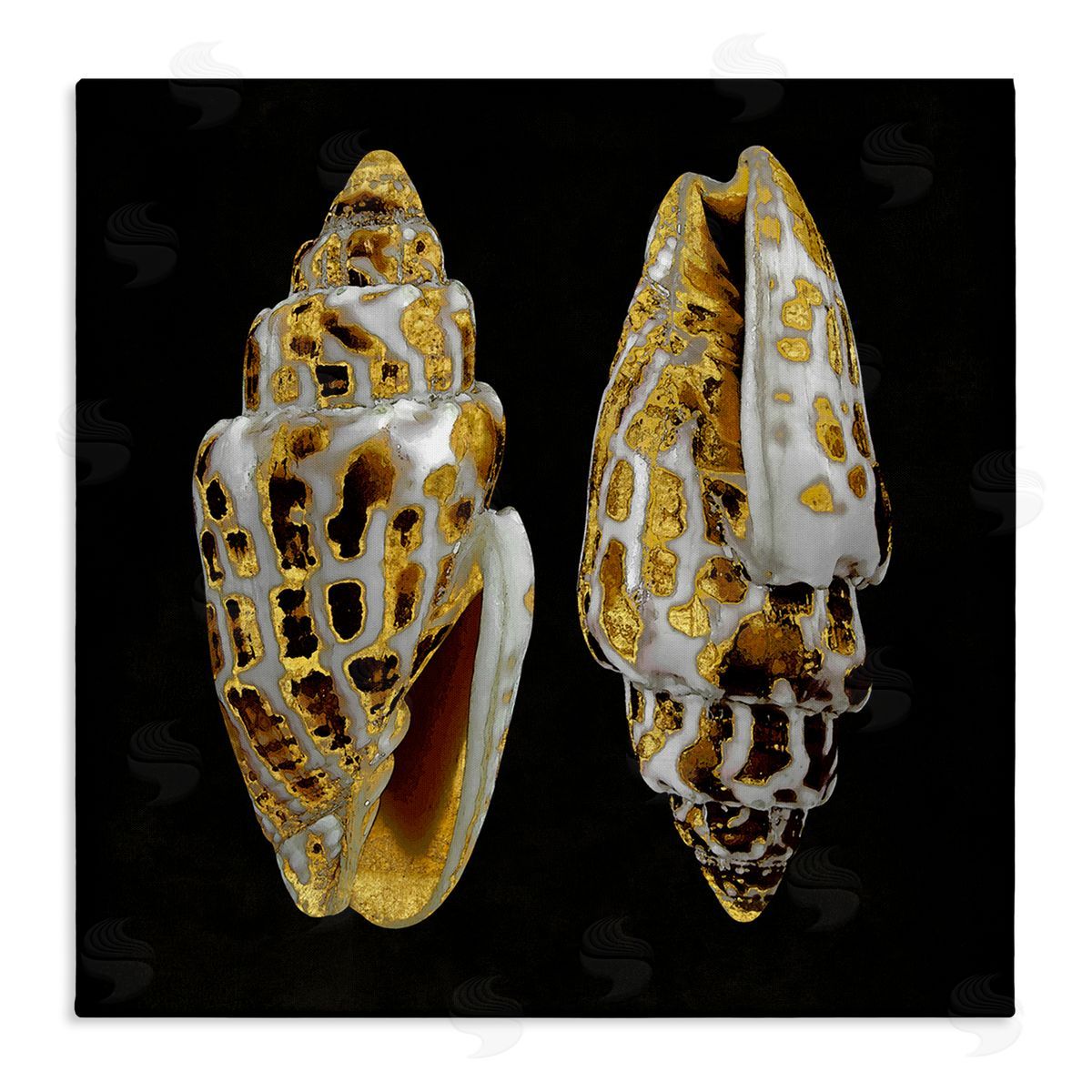 Caroline Kelly Spotted Cowrie Shells Canvas Wall Art Print