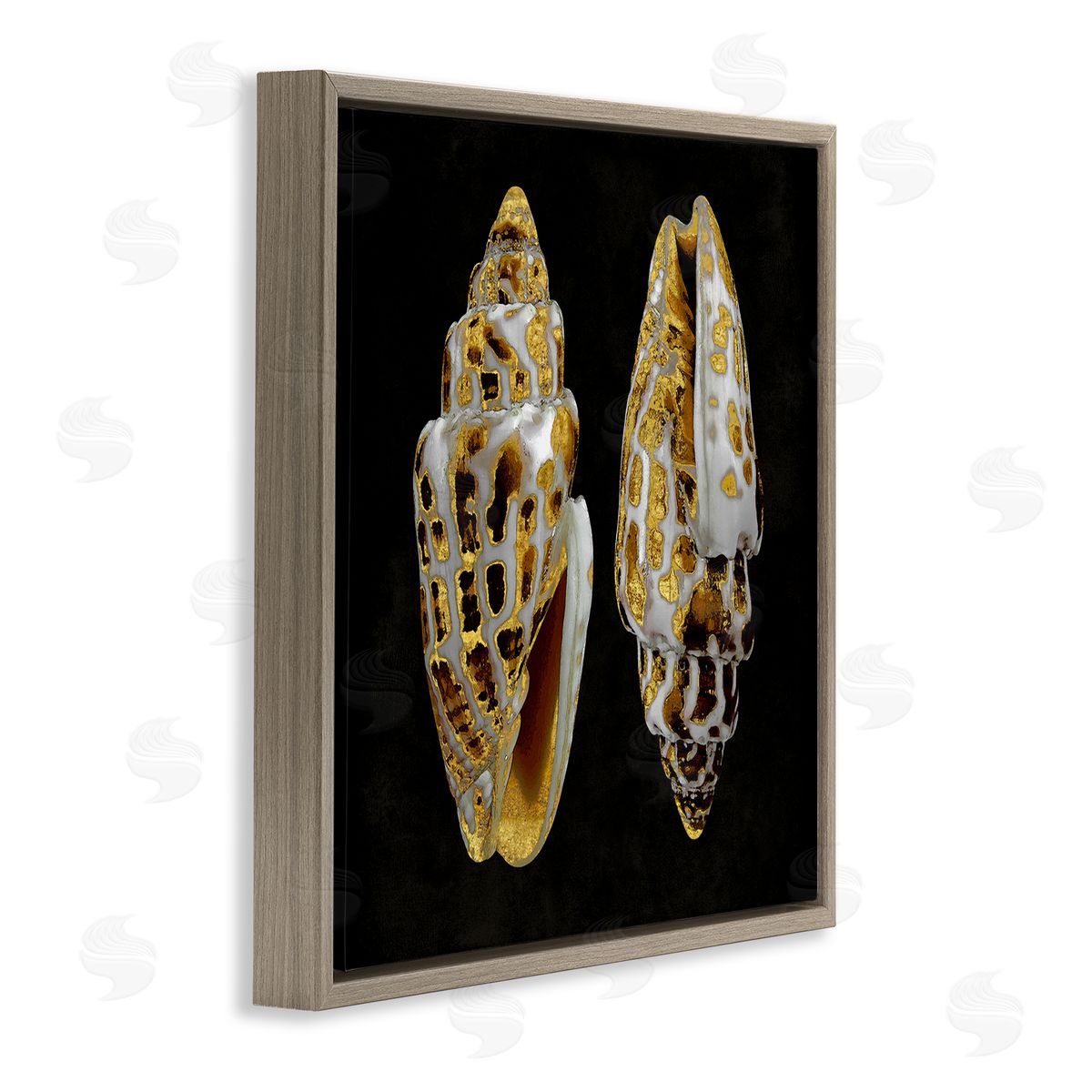 Caroline Kelly Spotted Cowrie Shells Brown Floating Frame Canvas Wall Art Print