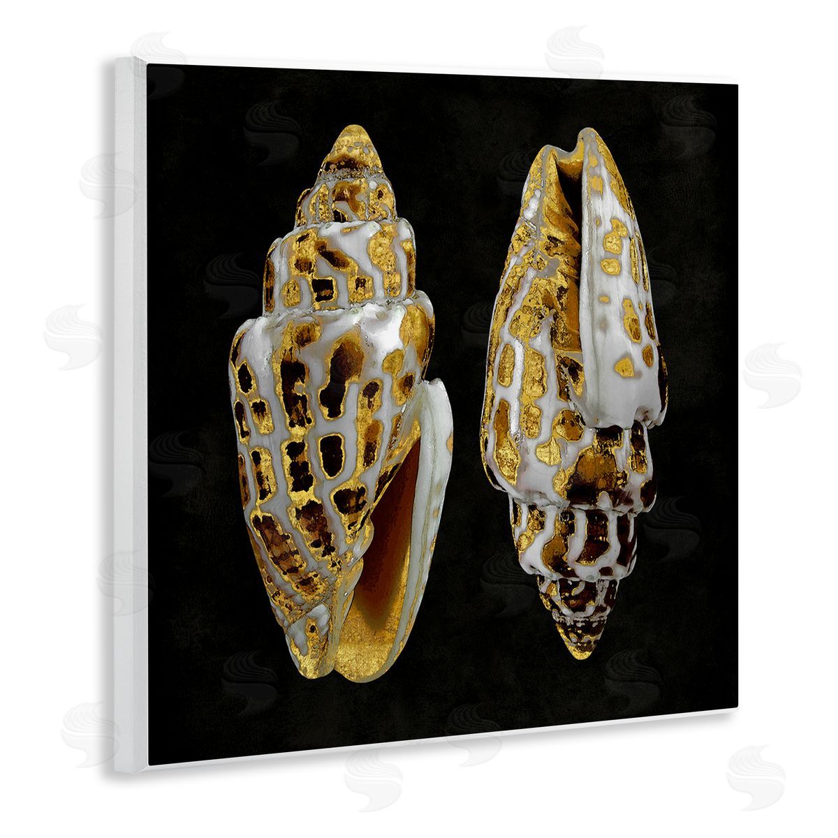 Caroline Kelly Spotted Cowrie Shells Wooden Wall Plaque Art Print