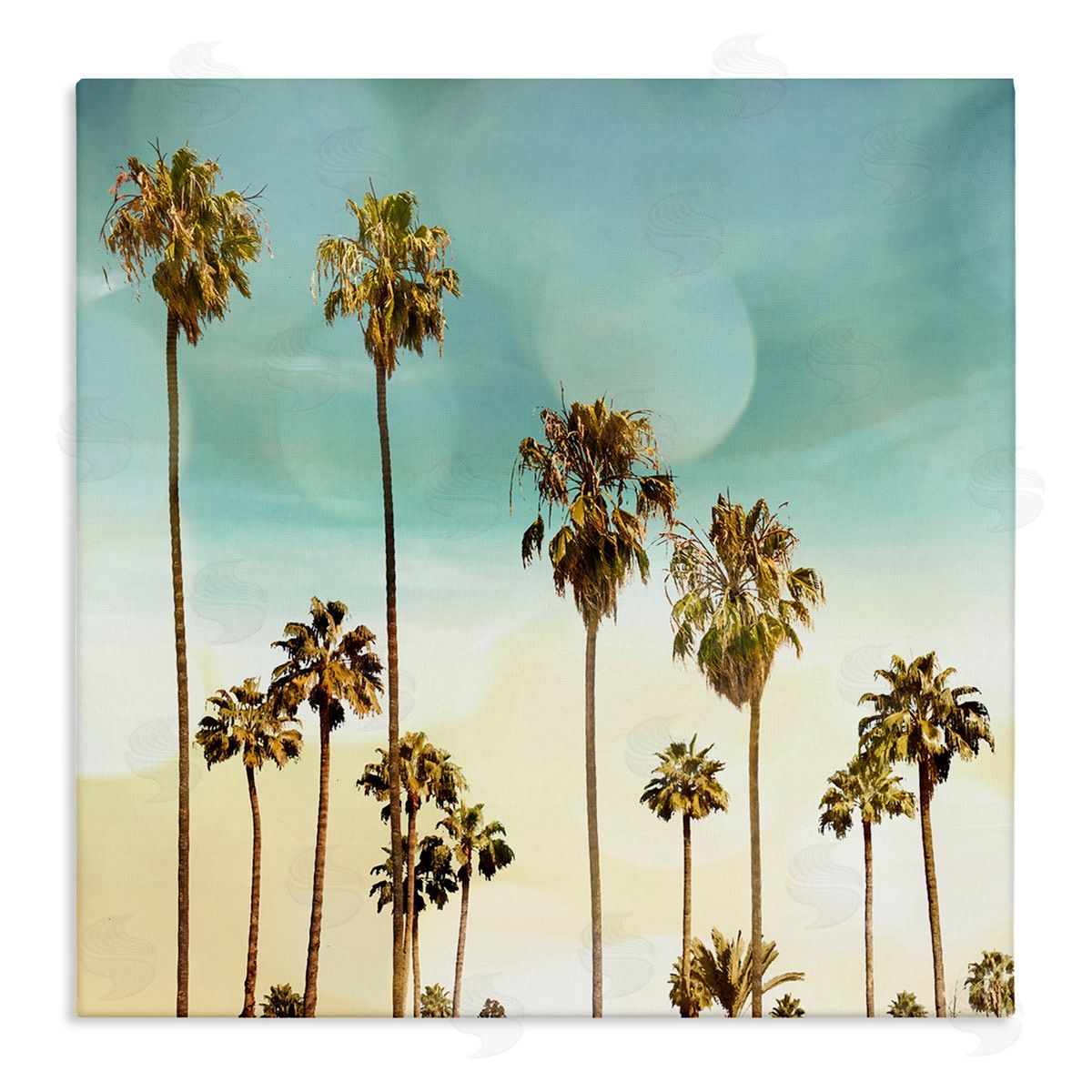 Devon Davis Palm Tree Beach Sky Canvas Wall Art Print