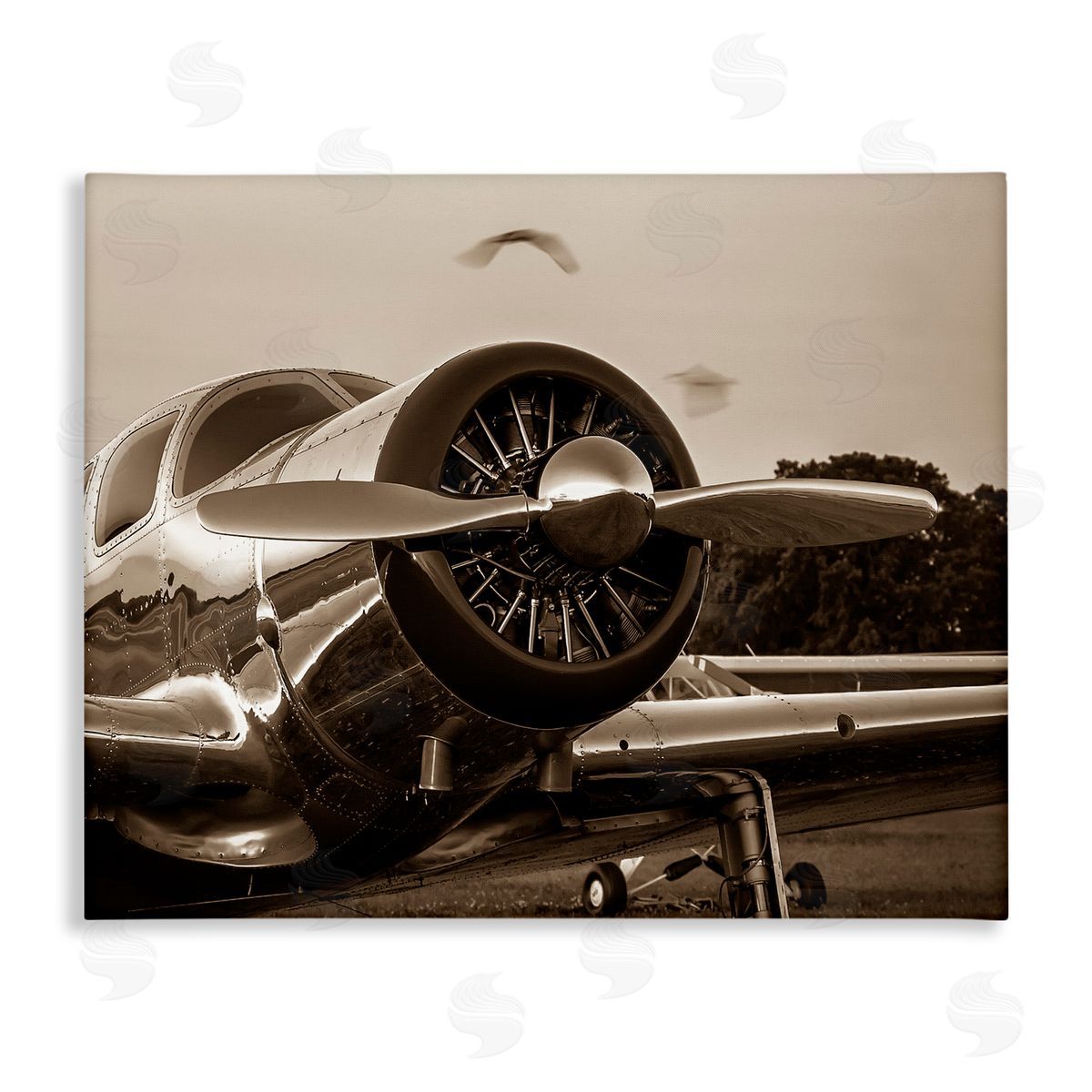 John Slemp Vintage Propeller View Canvas Wall Art Print