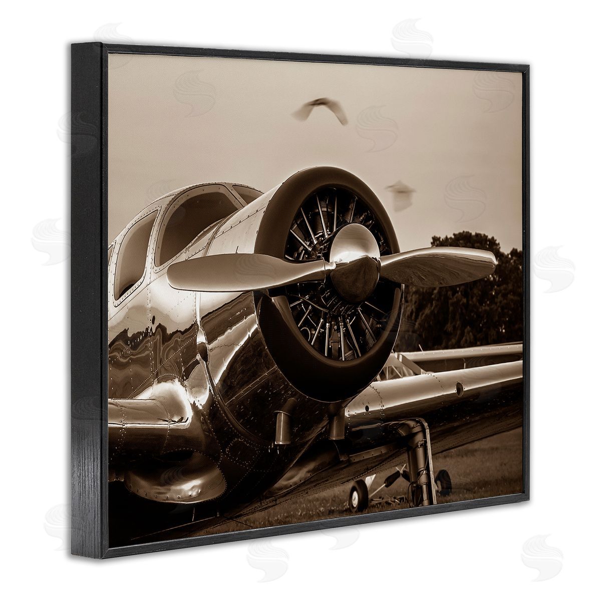 John Slemp Vintage Propeller View Black Framed Giclee Wall Art Print