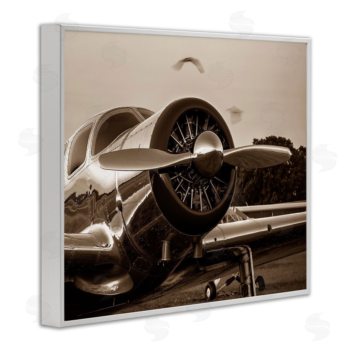 John Slemp Vintage Propeller View White Framed Giclee Wall Art Print