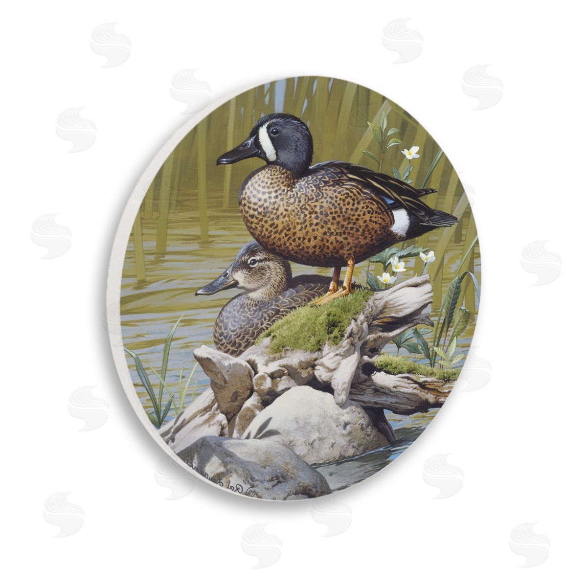 Rod Lawrence Blue Winged Teal Duck Wooden Wall Plaque Art Print
