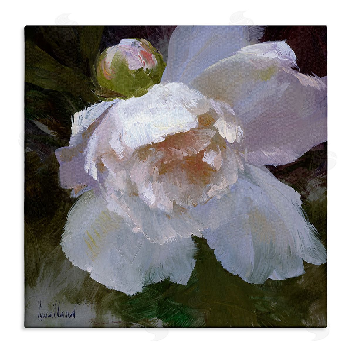 Katie Swatland Ruffled Petals White Flower Canvas Wall Art Print