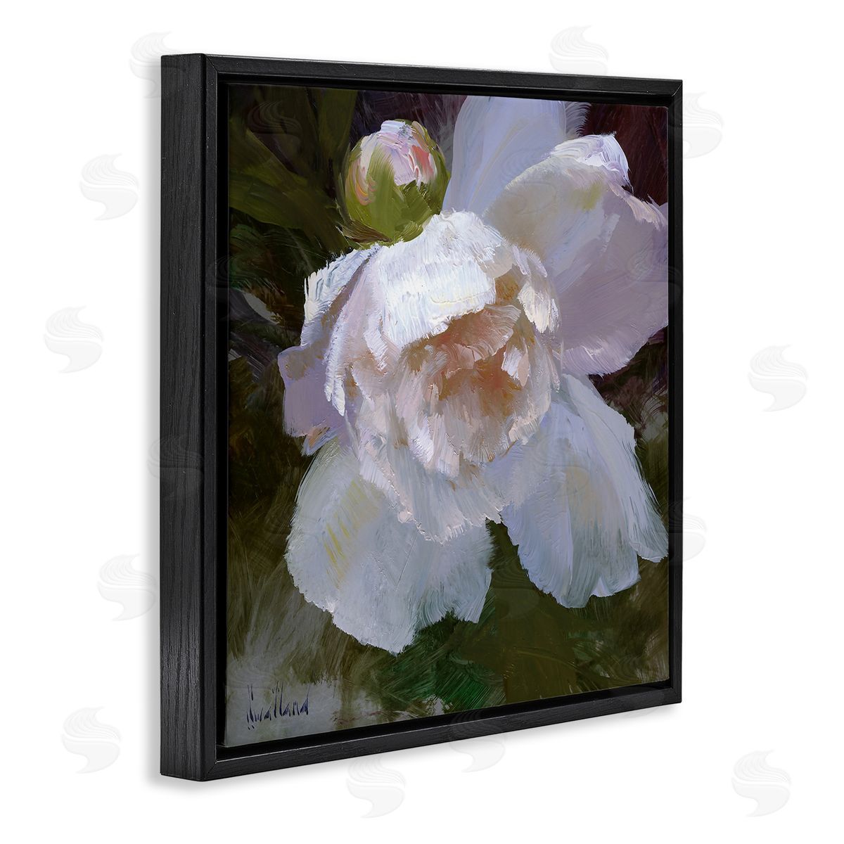 Katie Swatland Ruffled Petals White Flower Black Floating Frame Canvas Wall Art Print