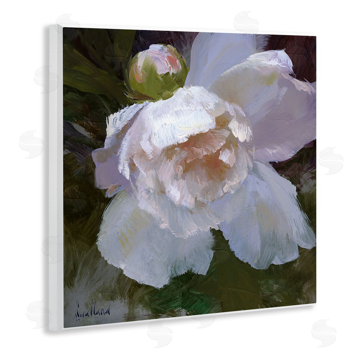 Katie Swatland Ruffled Petals White Flower Wooden Wall Plaque Art Print