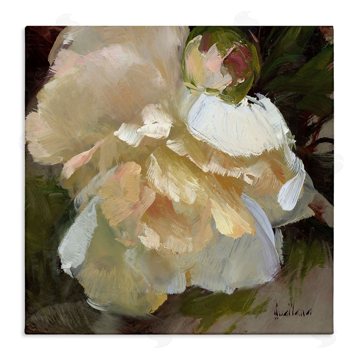 Katie Swatland Ruffled White Flower Canvas Wall Art Print