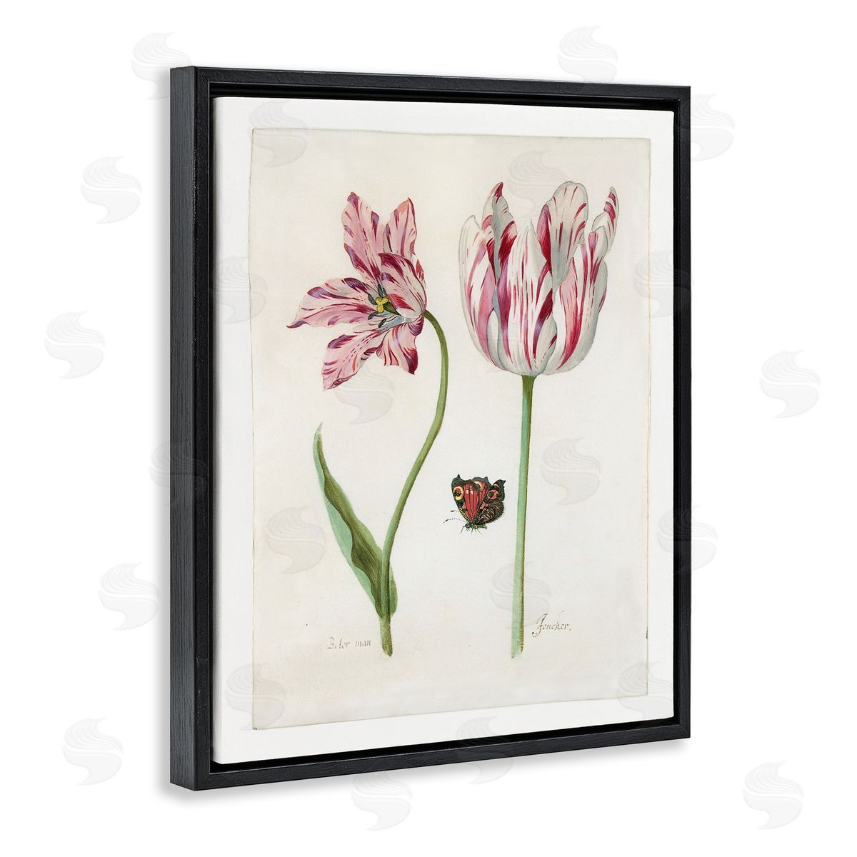 Jacob Marrel Classic Tulip & Butterfly Black Floating Frame Canvas Wall Art Print