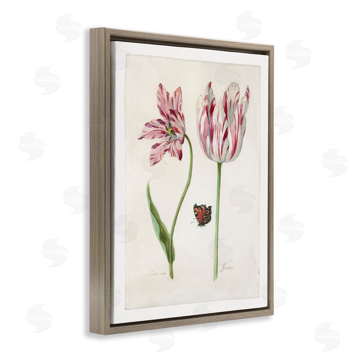 Jacob Marrel Classic Tulip & Butterfly Brown Floating Frame Canvas Wall Art Print