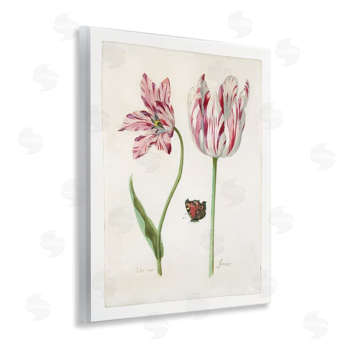 Jacob Marrel Classic Tulip & Butterfly Wooden Wall Plaque Art Print