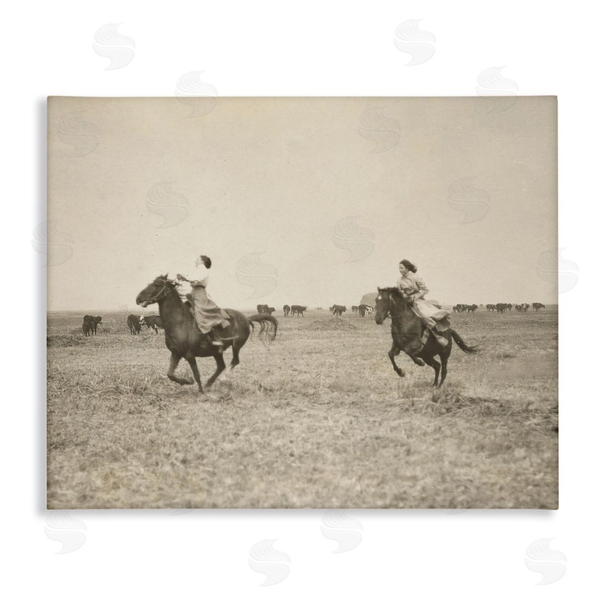 Stupell Studio Galloping Cowgirl Friends Canvas Wall Art Print