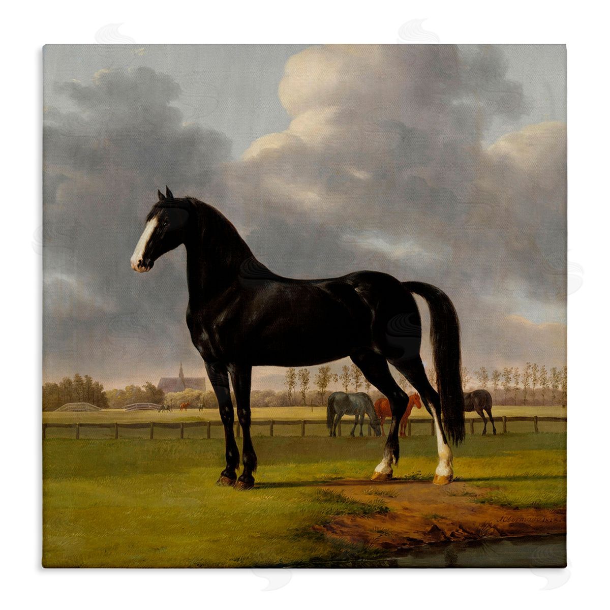 Classic Black Stallion Canvas Wall Art, Home Decor by Anthony Oberman