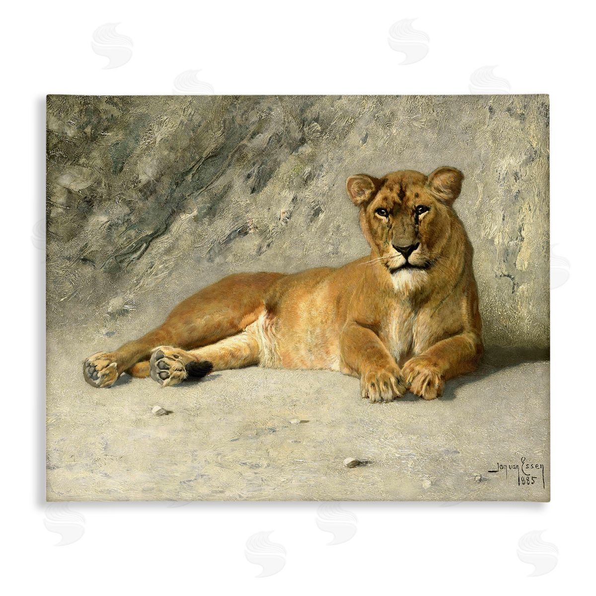 Jan Van Essen Protective Wild Lion Canvas Wall Art Print