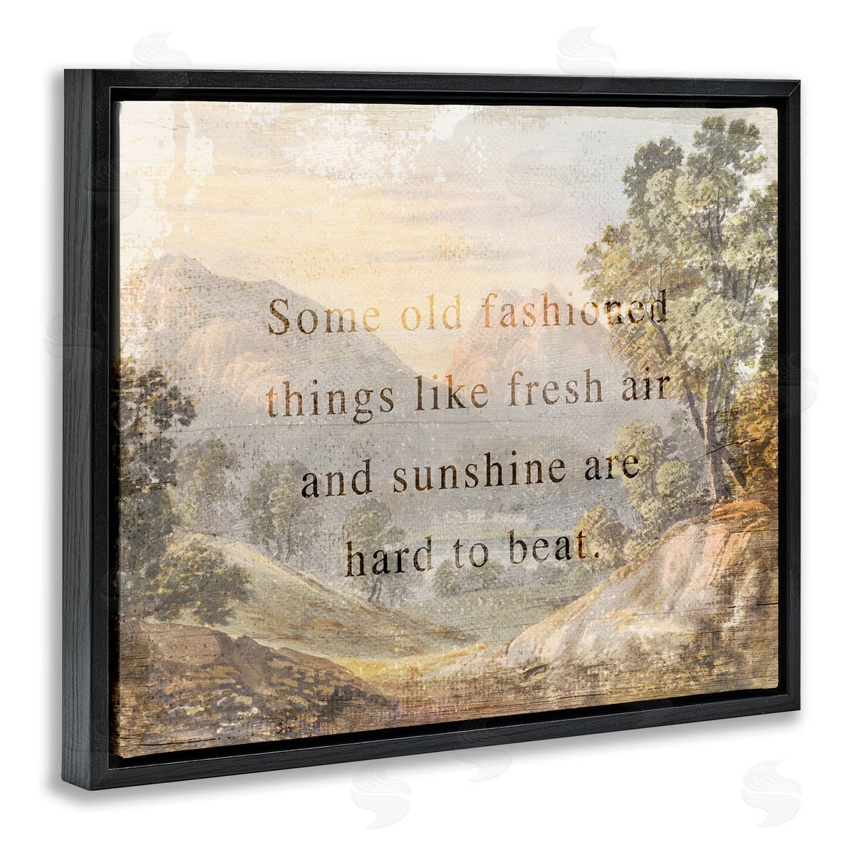 Stupell Studio Fresh Air Sentiment Landscape Black Floating Frame Canvas Wall Art Print