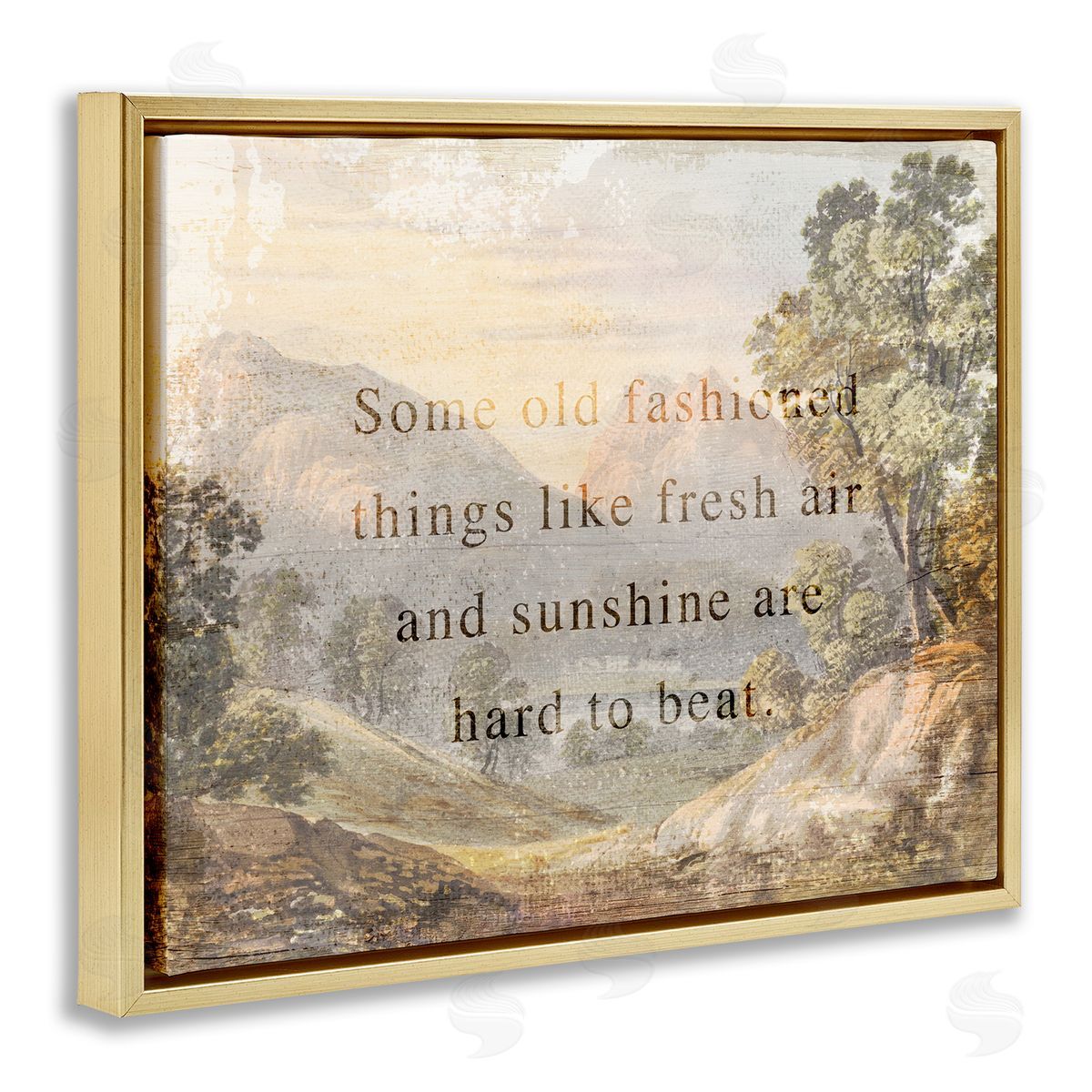 Stupell Studio Fresh Air Sentiment Landscape Gold Floating Frame Canvas Wall Art Print