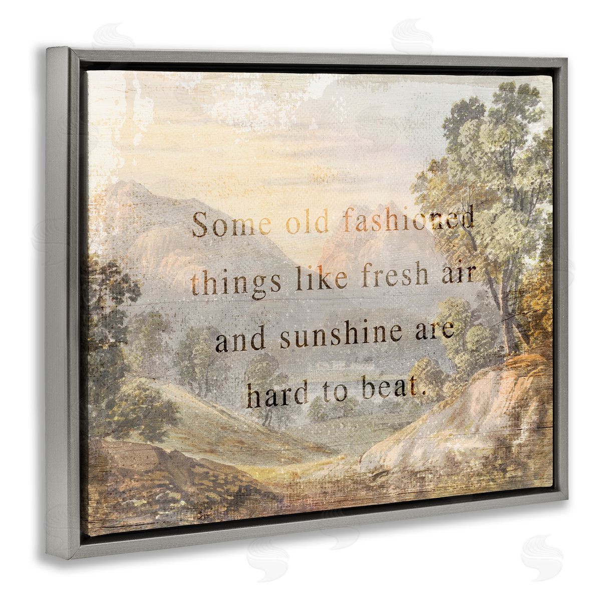 Stupell Studio Fresh Air Sentiment Landscape Gray Floating Frame Canvas Wall Art Print