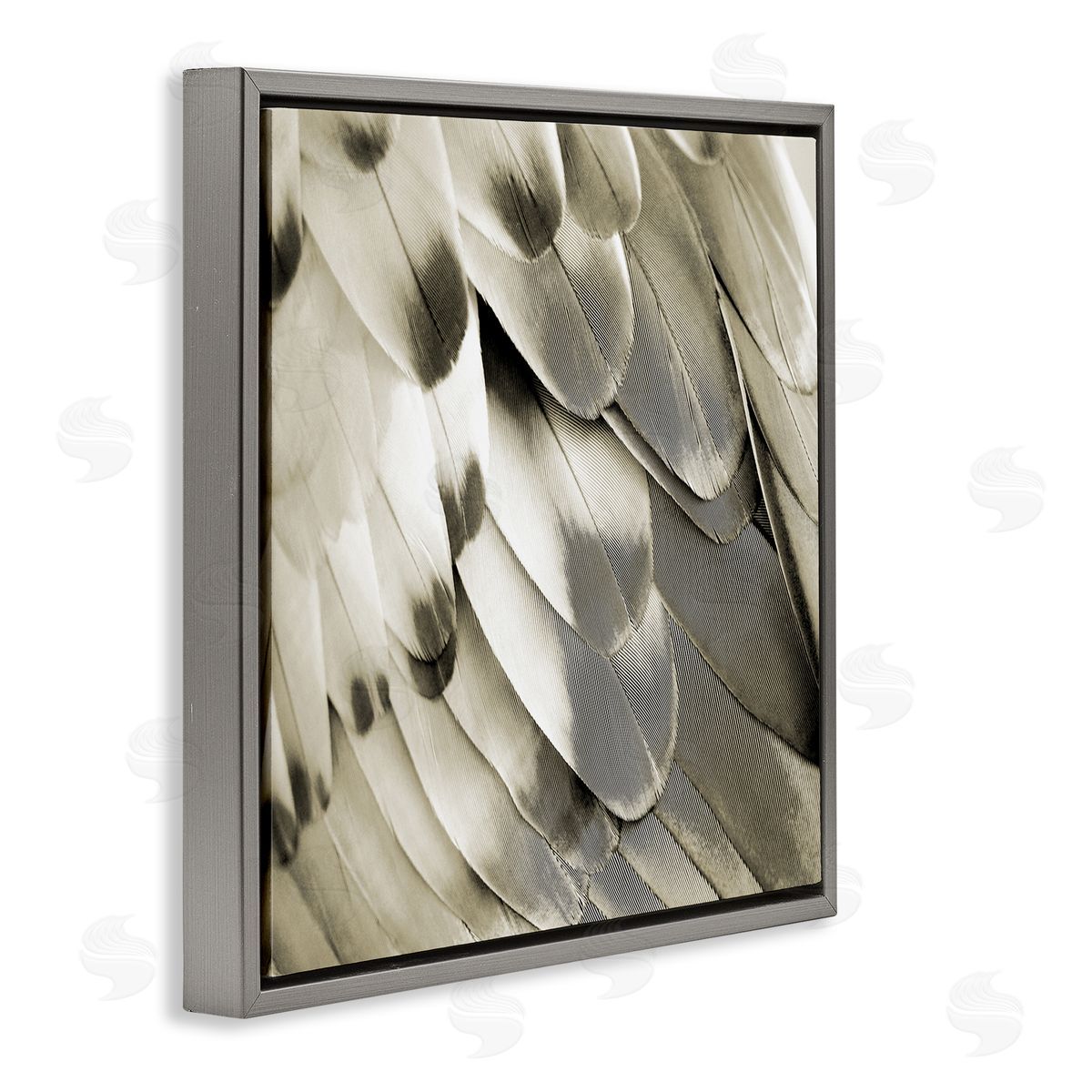 Julia Bosco Sleek Wing Feathers Gray Floating Frame Canvas Wall Art Print