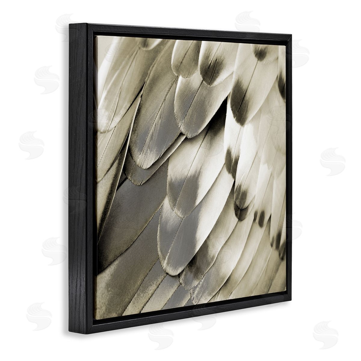 Julia Bosco Sleek Feathers Close Up Black Floating Frame Canvas Wall Art Print
