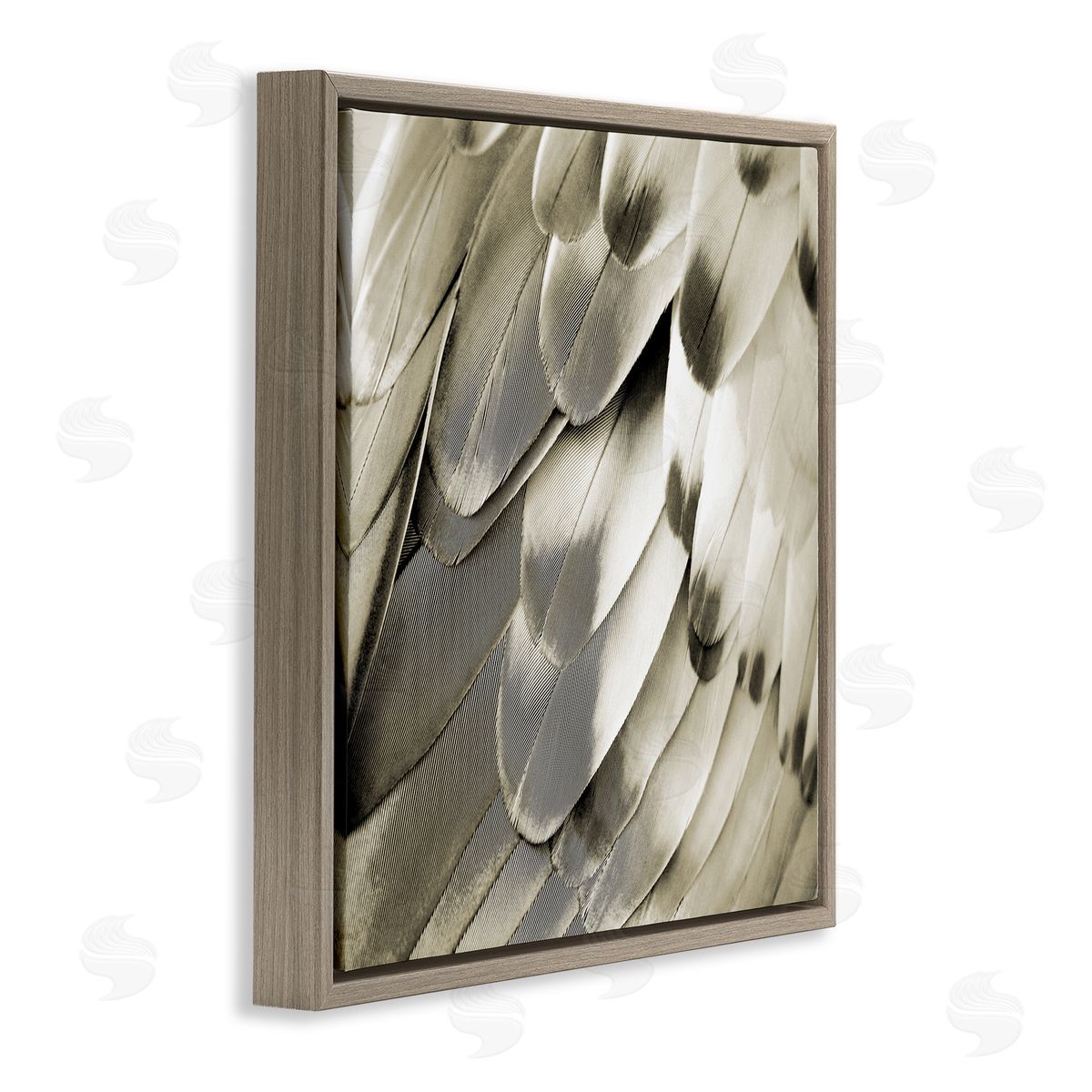 Julia Bosco Sleek Feathers Close Up Brown Floating Frame Canvas Wall Art Print