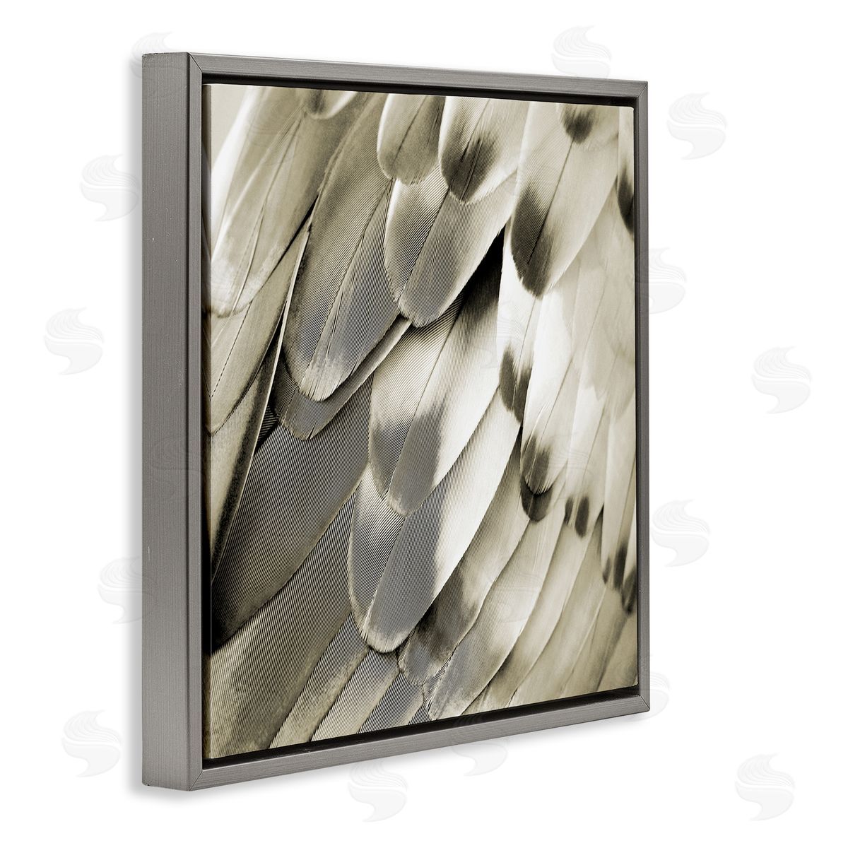 Julia Bosco Sleek Feathers Close Up Gray Floating Frame Canvas Wall Art Print