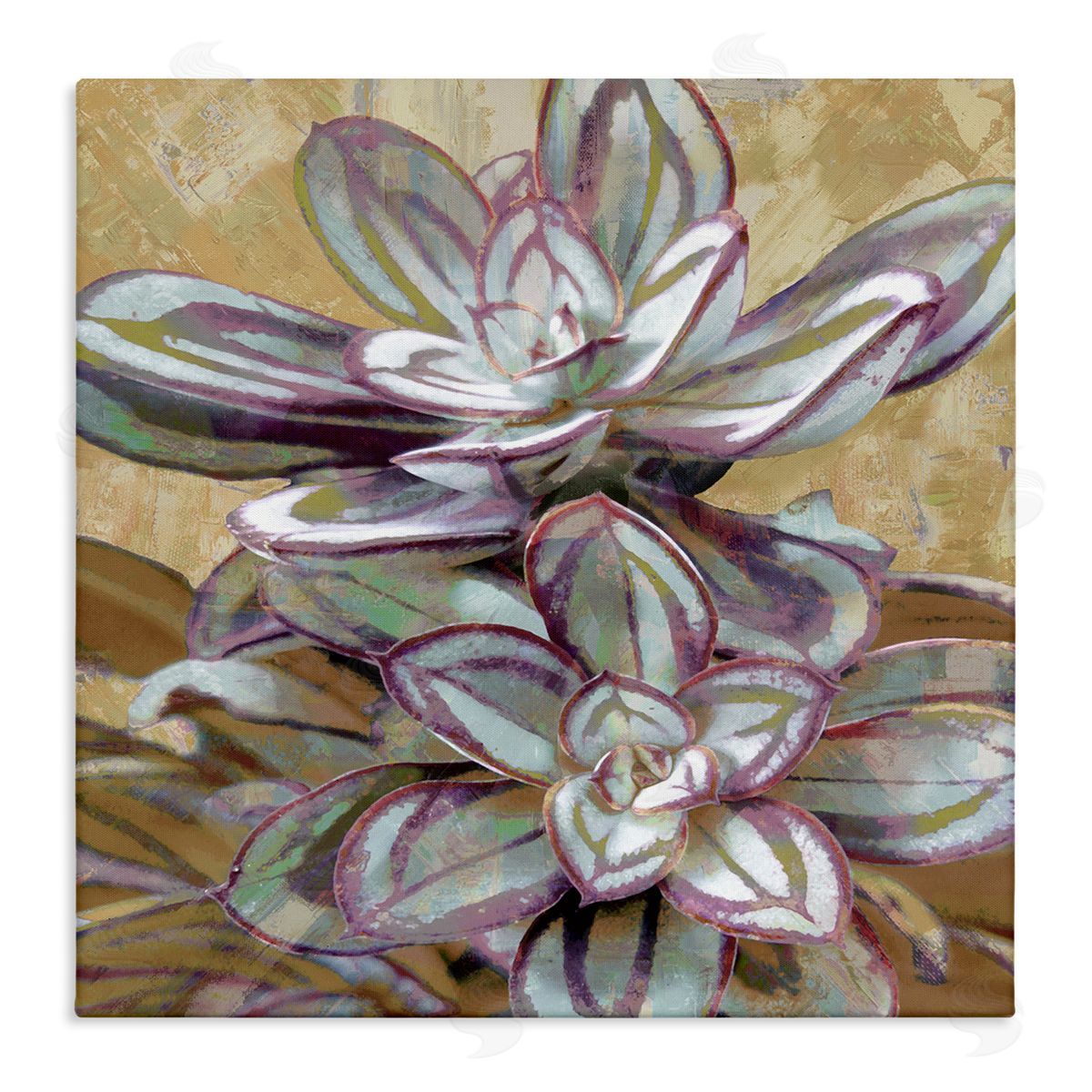 Lindsay Benson Rustic Desert Succulents Canvas Wall Art Print