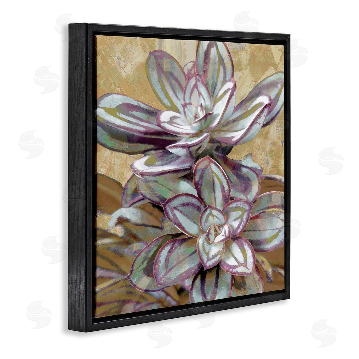 Lindsay Benson Rustic Desert Succulents Black Floating Frame Canvas Wall Art Print