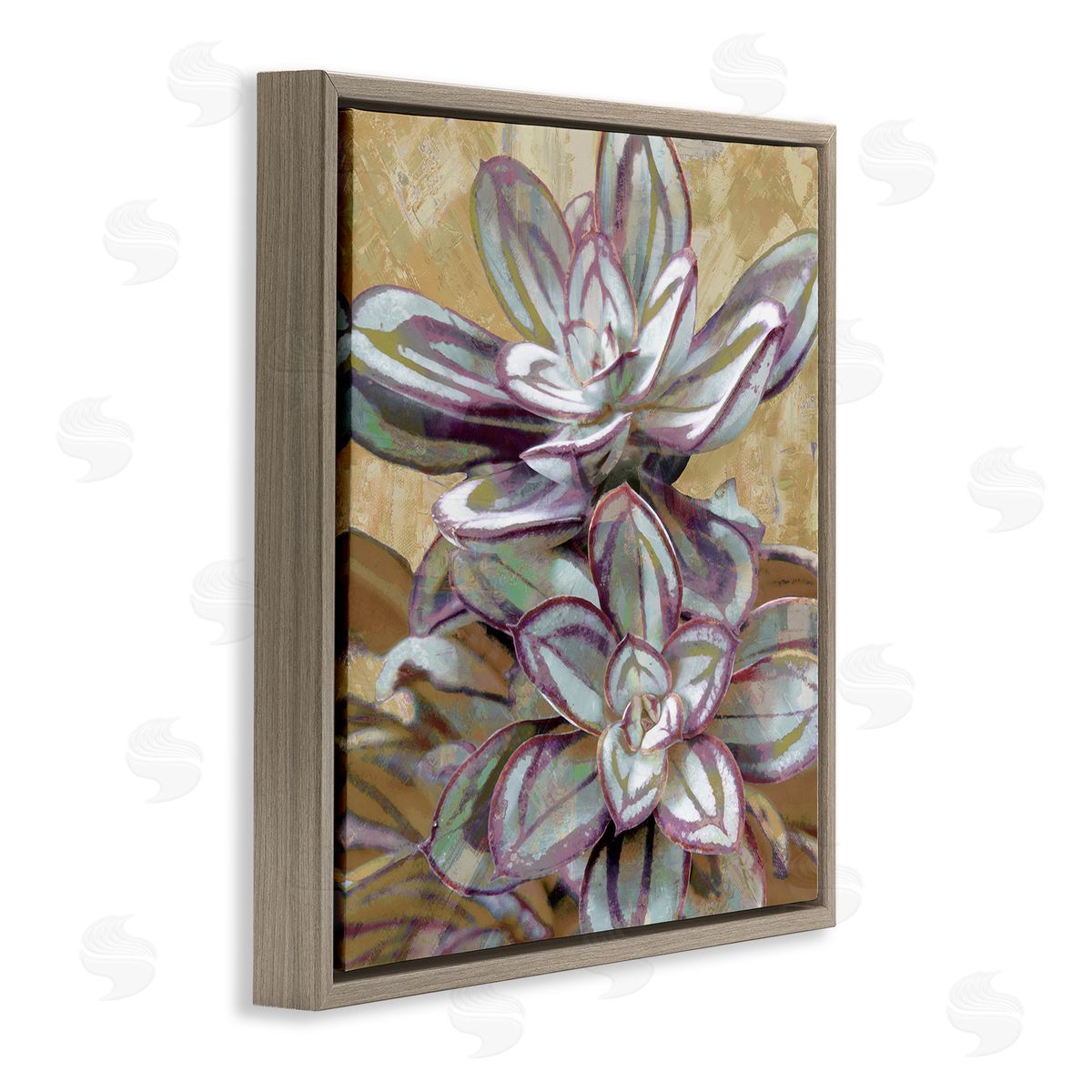 Lindsay Benson Rustic Desert Succulents Brown Floating Frame Canvas Wall Art Print