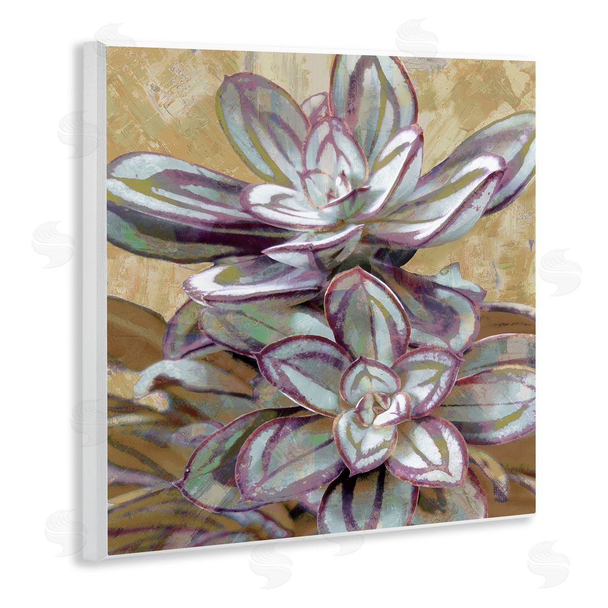 Lindsay Benson Rustic Desert Succulents Wooden Wall Plaque Art Print