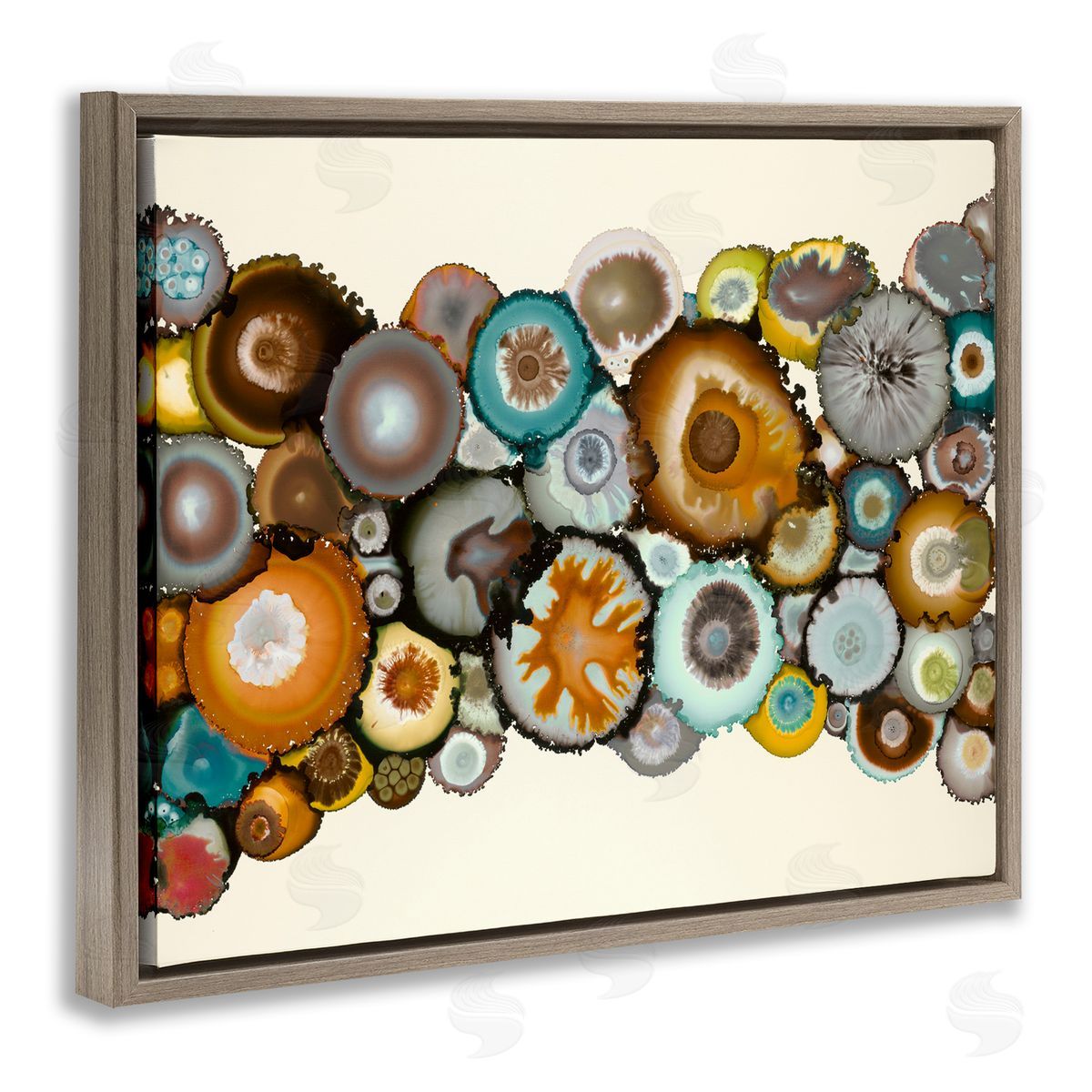 Laura Van Horne Various Agate Clusters Brown Floating Frame Canvas Wall Art Print