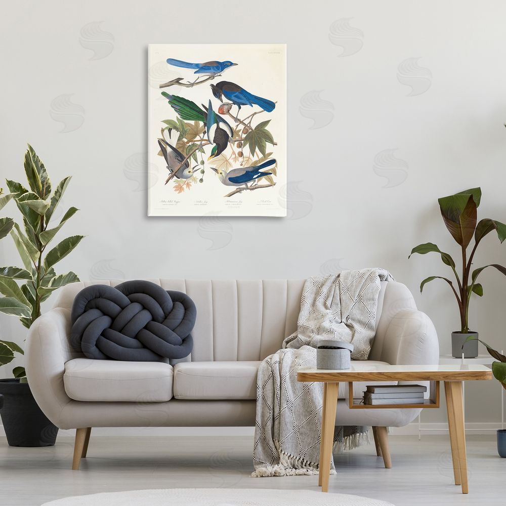 one1000paintings Classic Yellow Billed Magpie Canvas Wall Art Print in Room