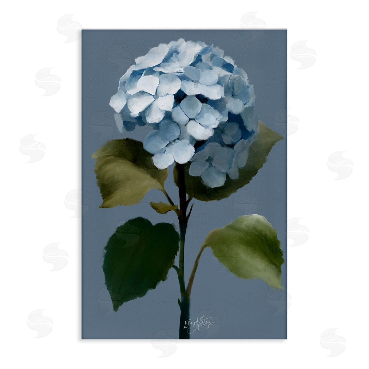 Elizabeth Medley Delicate Blue Hydrangea Canvas Wall Art Print