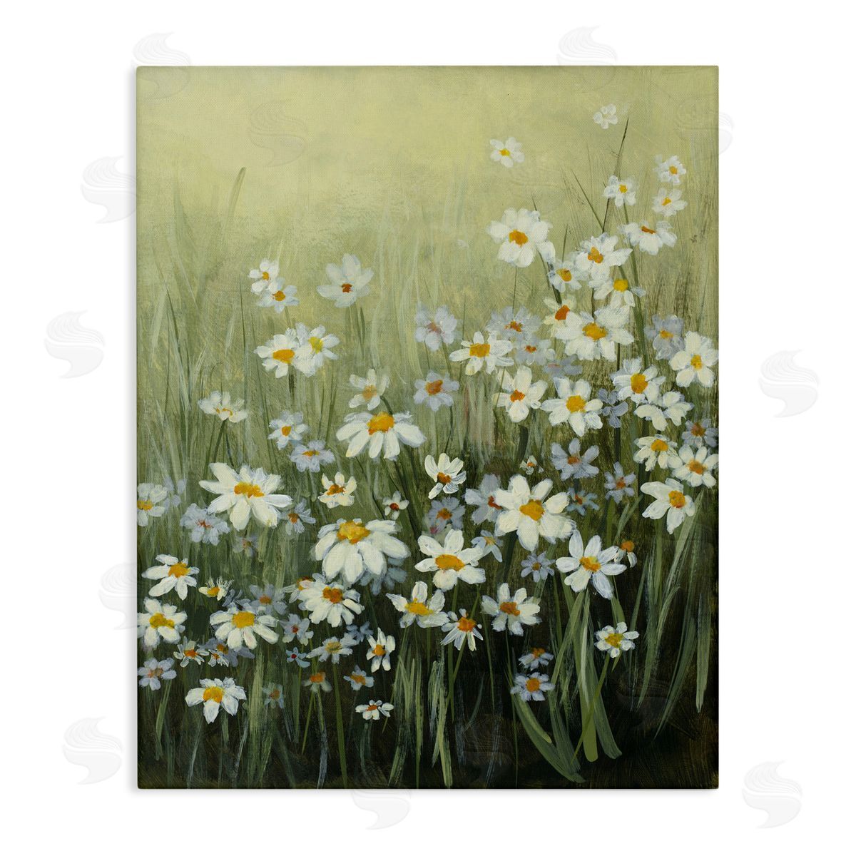 Lanie Loreth Daisy Field Garden Canvas Wall Art Print