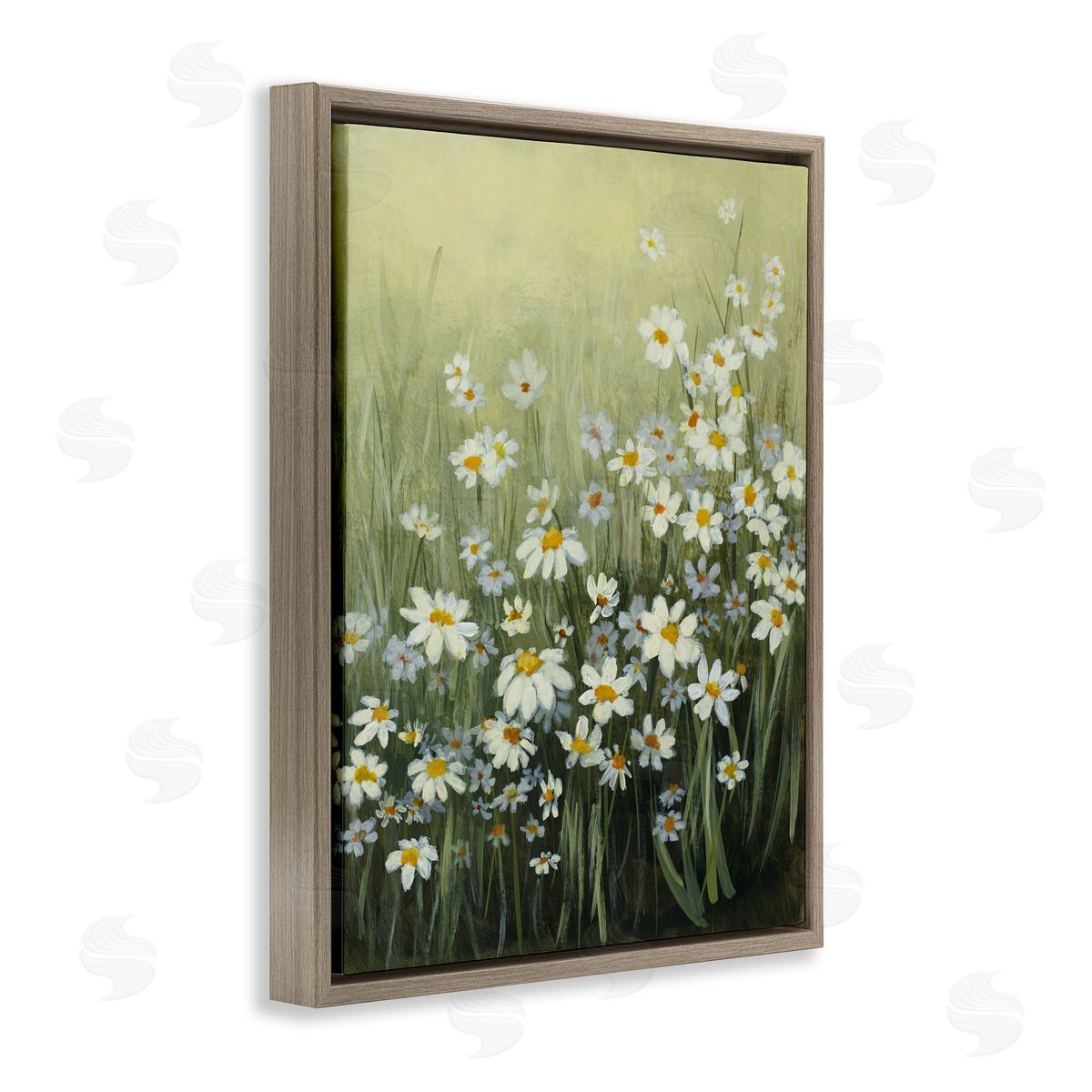 Lanie Loreth Daisy Field Garden Brown Floating Frame Canvas Wall Art Print