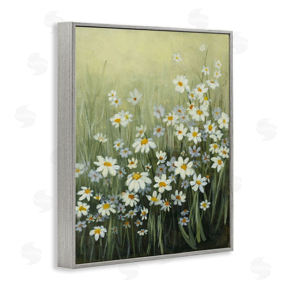 Lanie Loreth Daisy Field Garden Gray Framed Giclee Wall Art Print