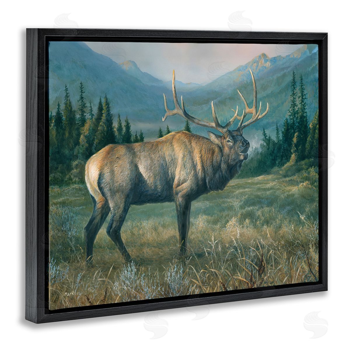 Laura Mark-Finberg Powerful Elk in Field Black Floating Frame Canvas Wall Art Print