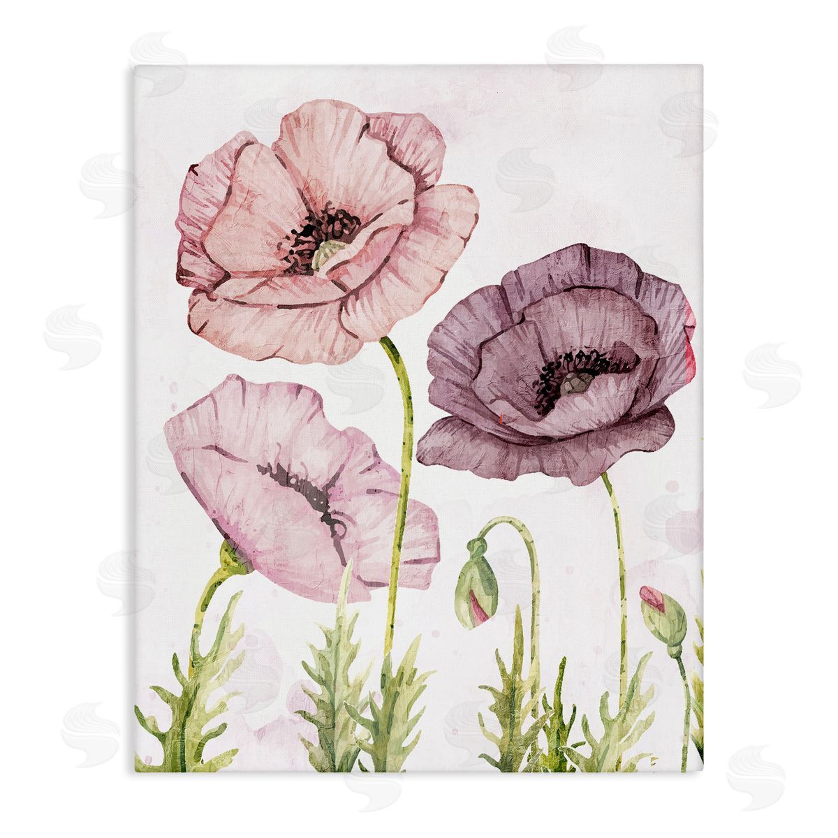 Kim Allen Poppies Trio in Garden Canvas Wall Art Print