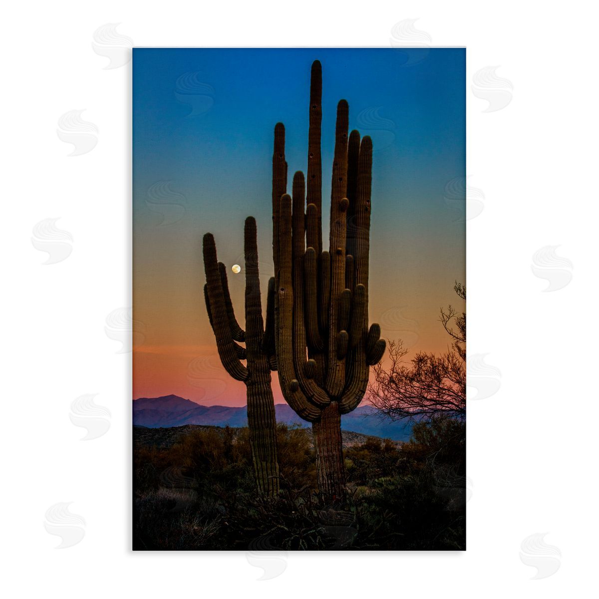 Rick Berk Silhouetted Cacti with Moon Canvas Wall Art Print