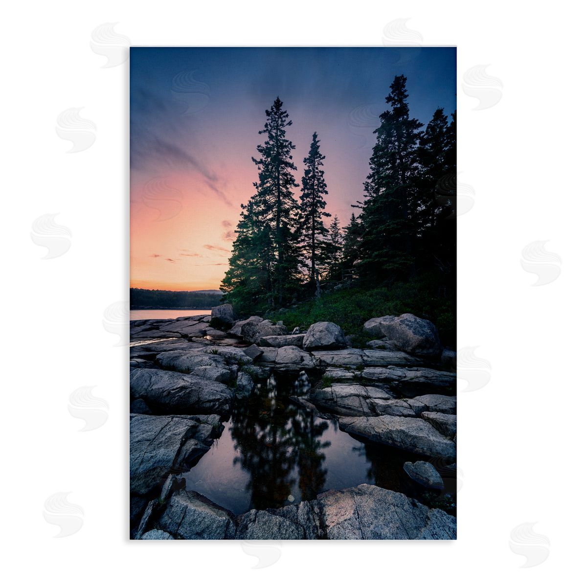 Rick Berk Trees Reflected in Tide Pool Canvas Wall Art Print