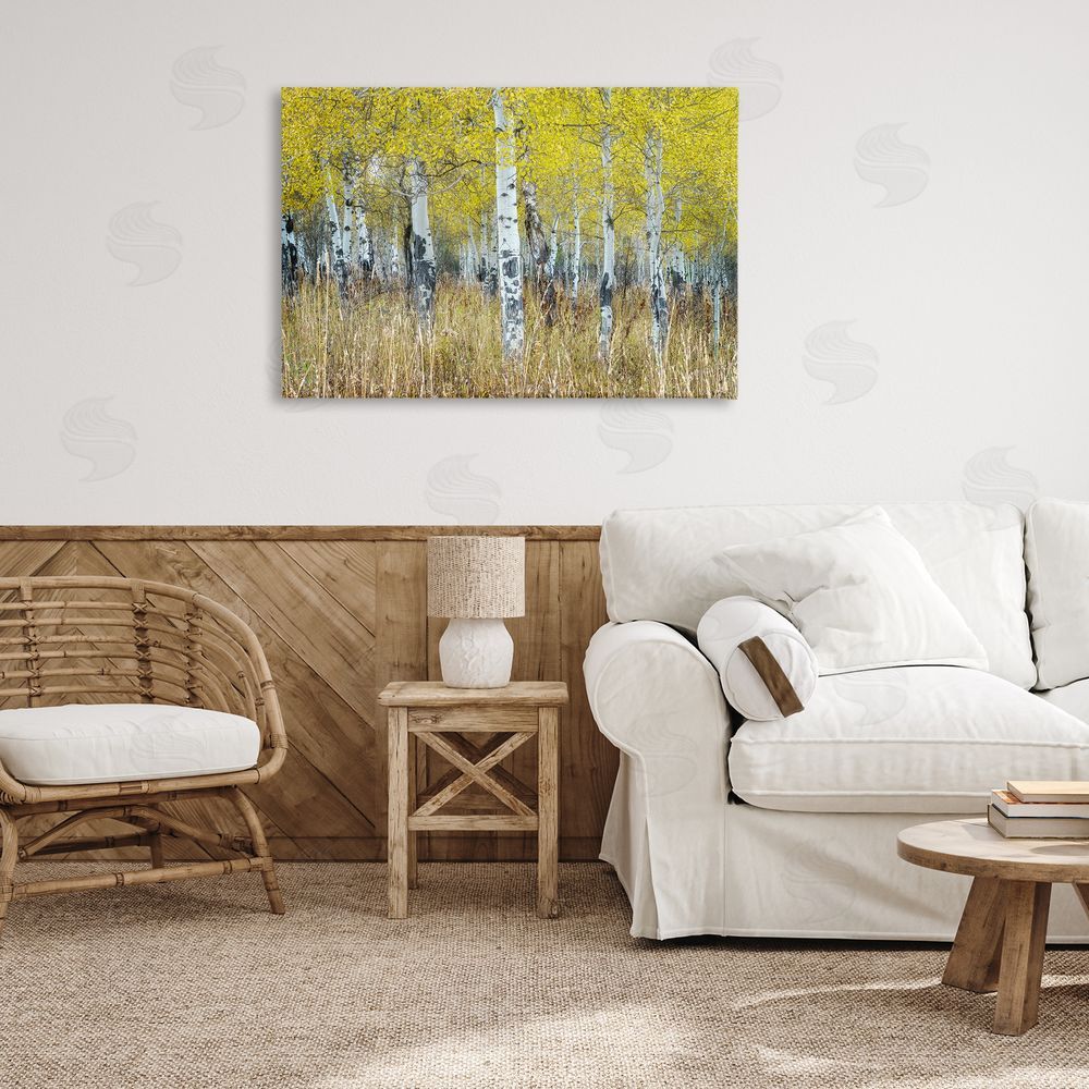 Rick Berk Dense Birch Trees Canvas Wall Art Print in Room
