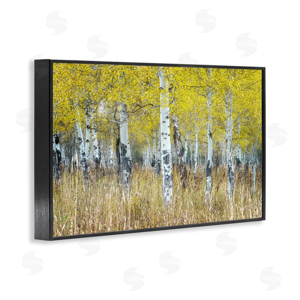 Rick Berk Dense Birch Trees Black Framed Giclee Wall Art Print