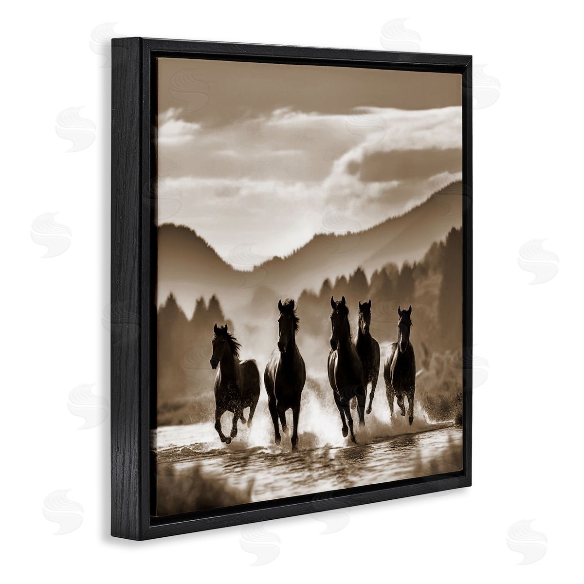 Noah Bay Splashing Canyon Stallions Black Floating Frame Canvas Wall Art Print