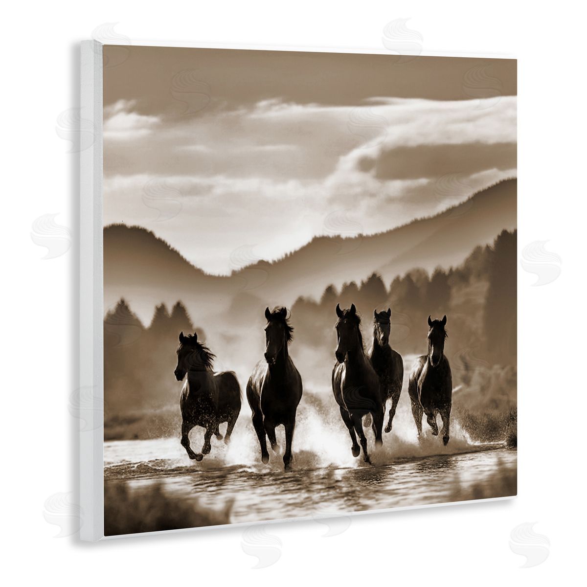 Noah Bay Splashing Canyon Stallions Wooden Wall Plaque Art Print