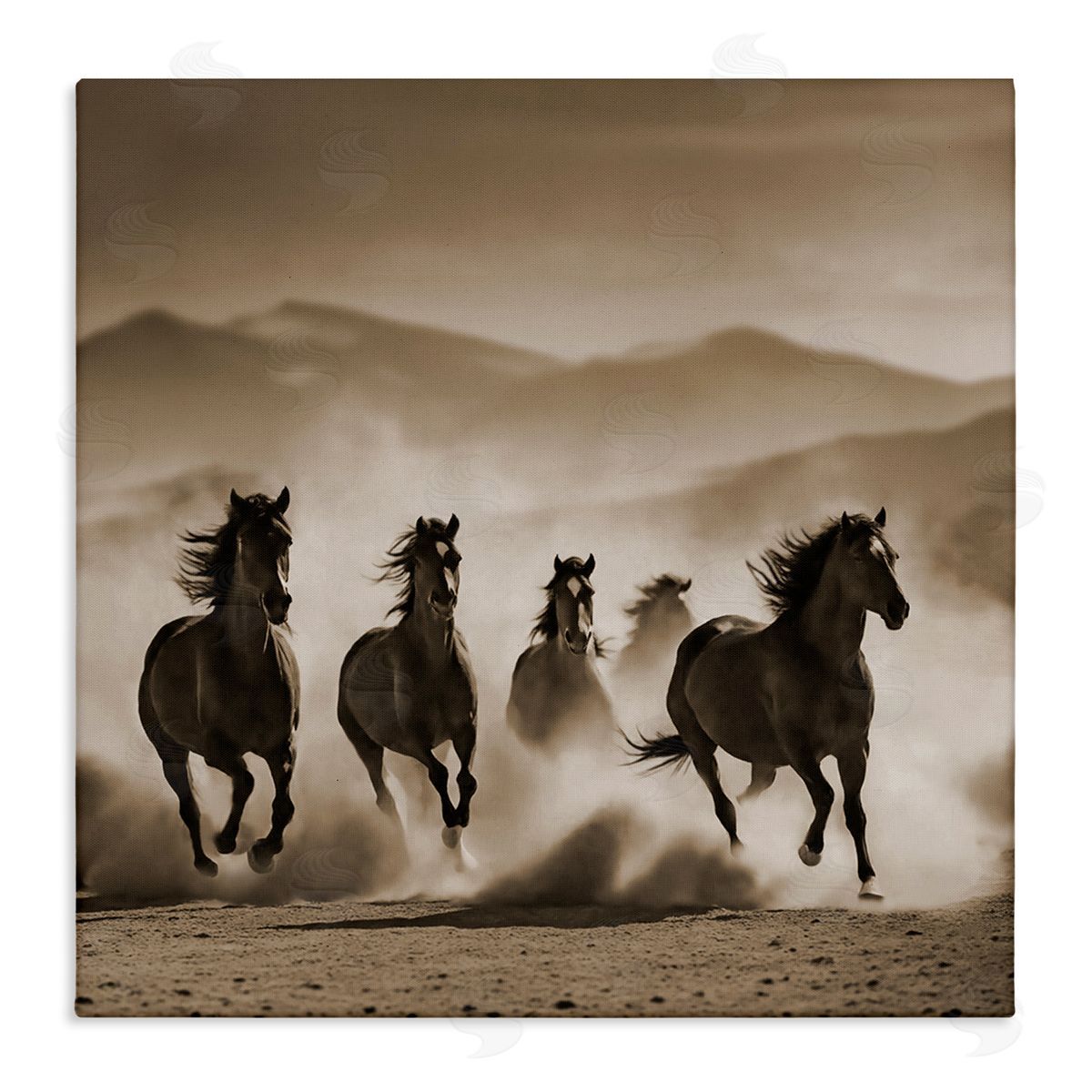 Noah Bay Trotting Mountain Stallions Canvas Wall Art Print
