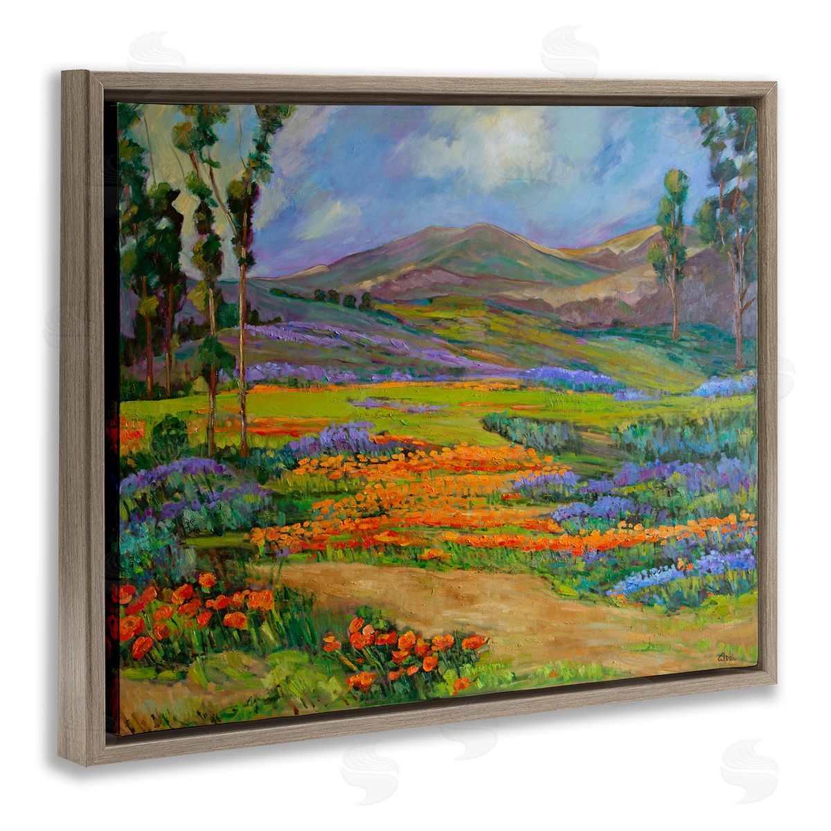 Alexi Fine Bountiful Meadow Landscape Brown Floating Frame Canvas Wall Art Print