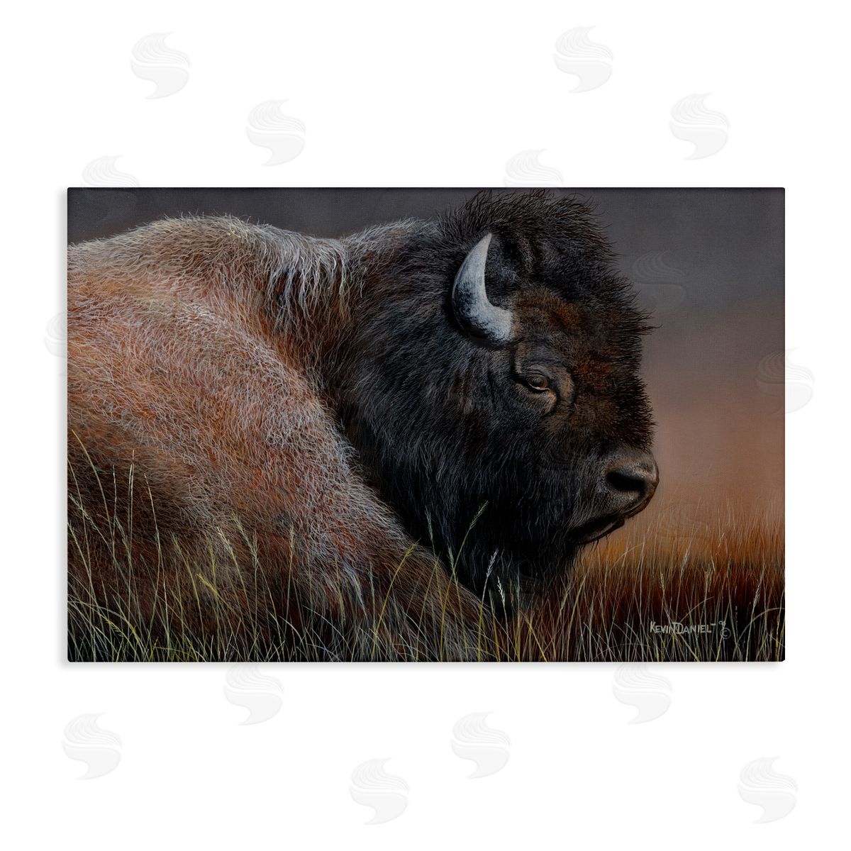 Detailed Bison Close Up Canvas Wall Art, Home Decor by Kevin Daniel