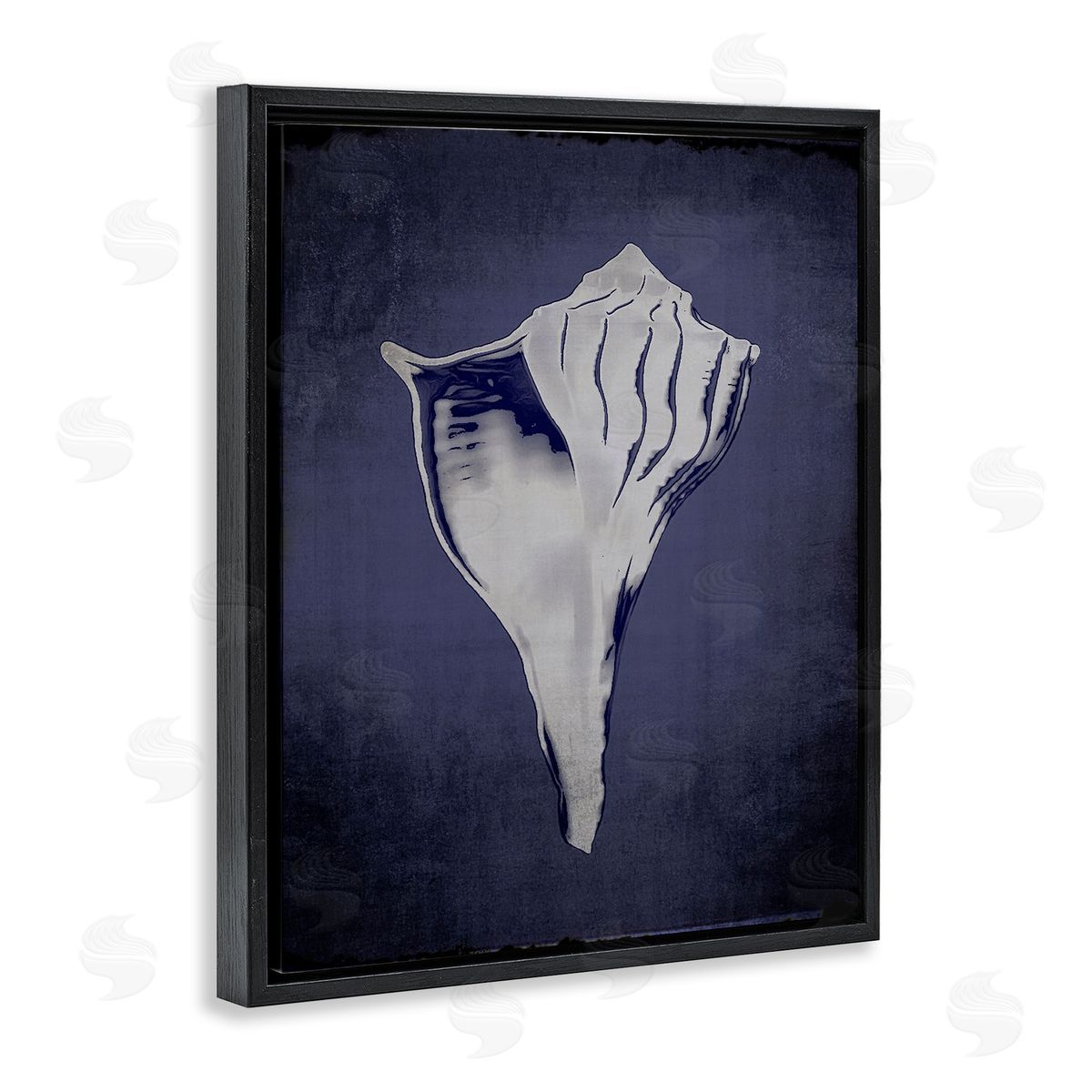 Lightning Whelk on Indigo Black Floating Frame Canvas Wall Art, Home Decor by Graffi*tee Studios