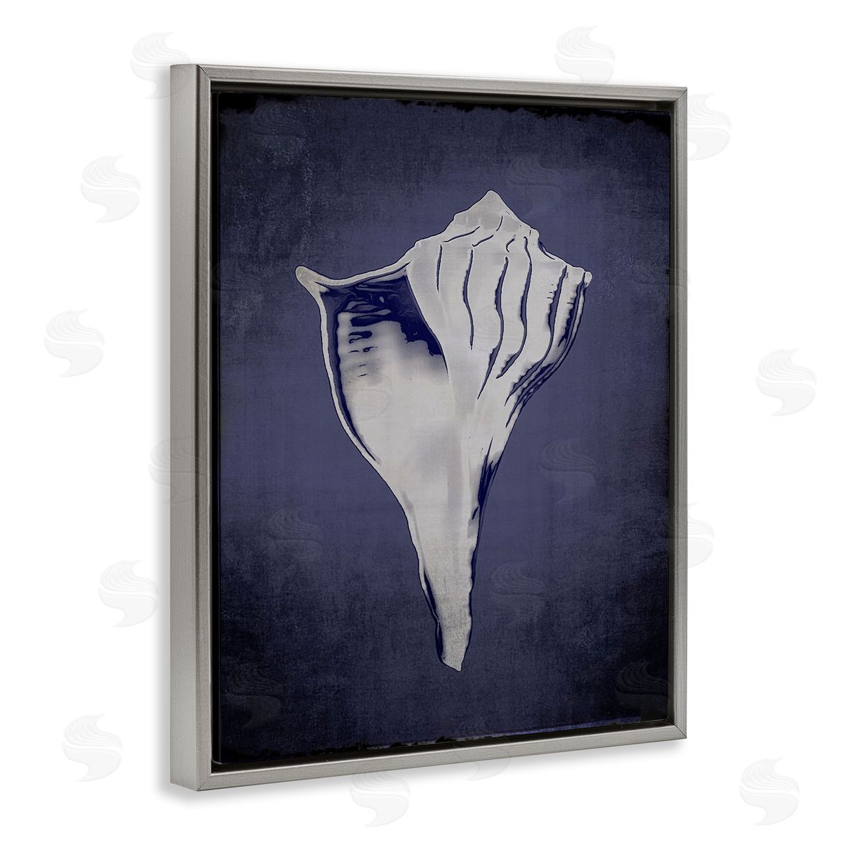 Lightning Whelk on Indigo Grey Floating Frame Canvas Wall Art, Home Decor by Graffi*tee Studios