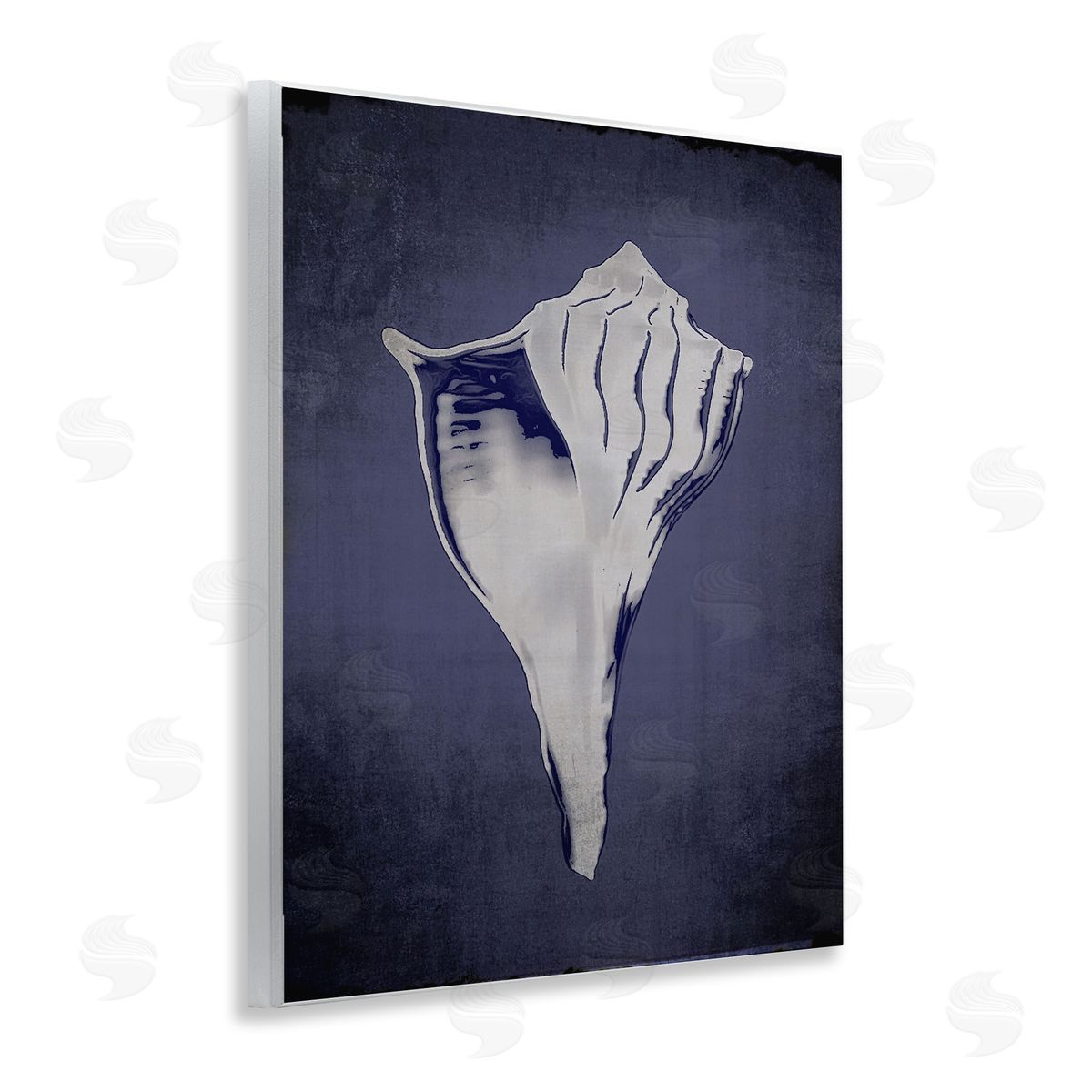 Lightning Whelk on Indigo Wood Plaque Wall Art, Home Decor by Graffi*tee Studios